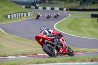 Lower Group Red Bikes